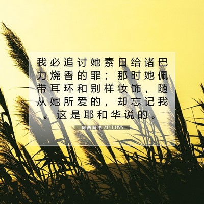 Picture 07 - 何 西 阿 书 2:13 CUVS - 我 必 追 讨 她 素 日 给 诸 巴 力 烧 - Bible Verse Picture
