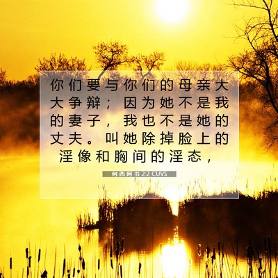 Picture 07 - 何 西 阿 书 2:2 CUVS - 你 们 要 与 你 们 的 母 亲 大 大 争 - Bible Verse Picture