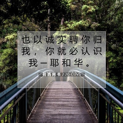 Picture 07 - 何 西 阿 书 2:20 CUVS - 也 以 诚 实 聘 你 归 我 ， 你 就 必 - Bible Verse Picture