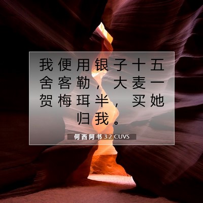 Picture 07 - 何 西 阿 书 3:2 CUVS - 我 便 用 银 子 十 五 舍 客 勒 ， 大 - Bible Verse Picture