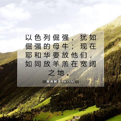 Picture 07 - 何 西 阿 书 4:16 CUVS - 以 色 列 倔 强 ， 犹 如 倔 强 的 母 - Bible Verse Picture