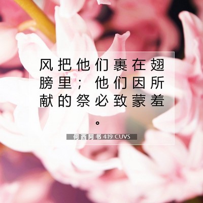 Picture 07 - 何 西 阿 书 4:19 CUVS - 风 把 他 们 裹 在 翅 膀 里 ； 他 们 - Bible Verse Picture