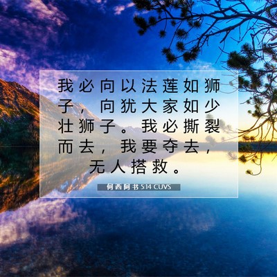 Picture 07 - 何 西 阿 书 5:14 CUVS - 我 必 向 以 法 莲 如 狮 子 ， 向 犹 - Bible Verse Picture