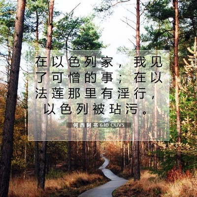 Picture 07 - 何 西 阿 书 6:10 CUVS - 在 以 色 列 家 ， 我 见 了 可 憎 的 - Bible Verse Picture