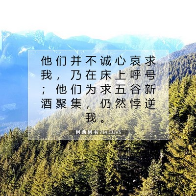 Picture 07 - 何 西 阿 书 7:14 CUVS - 他 们 并 不 诚 心 哀 求 我 ， 乃 在 - Bible Verse Picture
