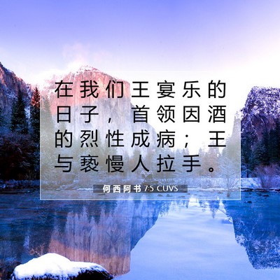 Picture 07 - 何 西 阿 书 7:5 CUVS - 在 我 们 王 宴 乐 的 日 子 ， 首 领 - Bible Verse Picture