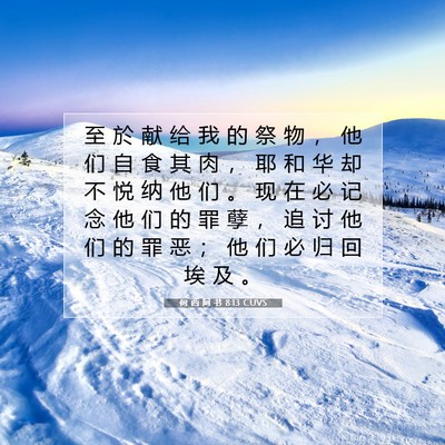 Picture 07 - 何 西 阿 书 8:13 CUVS - 至 於 献 给 我 的 祭 物 ， 他 们 自 - Bible Verse Picture
