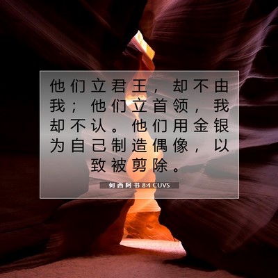 Picture 07 - 何 西 阿 书 8:4 CUVS - 他 们 立 君 王 ， 却 不 由 我 ； 他 - Bible Verse Picture