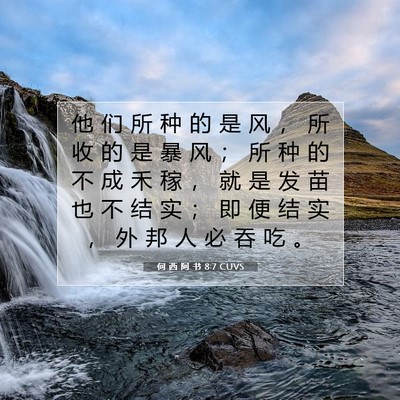Picture 07 - 何 西 阿 书 8:7 CUVS - 他 们 所 种 的 是 风 ， 所 收 的 是 - Bible Verse Picture