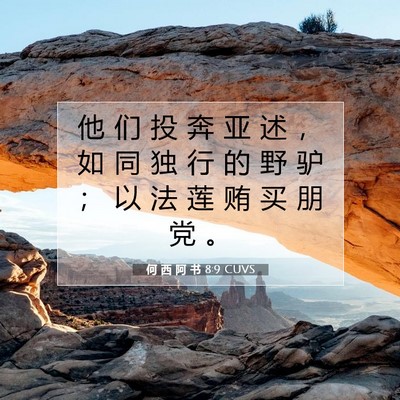 Picture 07 - 何 西 阿 书 8:9 CUVS - 他 们 投 奔 亚 述 ， 如 同 独 行 的 - Bible Verse Picture