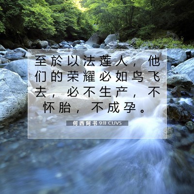 Picture 07 - 何 西 阿 书 9:11 CUVS - 至 於 以 法 莲 人 ， 他 们 的 荣 耀 - Bible Verse Picture
