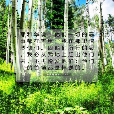 Picture 07 - 何 西 阿 书 9:15 CUVS - 耶 和 华 说 ： 他 们 一 切 的 恶 事 - Bible Verse Picture
