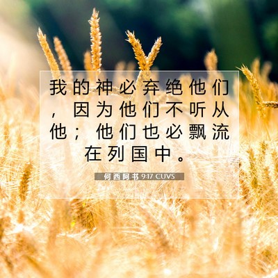 Picture 07 - 何 西 阿 书 9:17 CUVS - 我 的 神 必 弃 绝 他 们 ， 因 为 他 - Bible Verse Picture