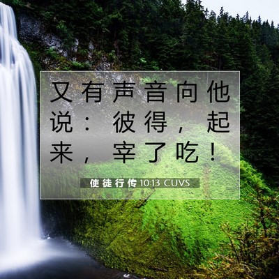 Picture 07 - 使 徒 行 传 10:13 CUVS - 又 有 声 音 向 他 说 ： 彼 得 ， 起 - Bible Verse Picture