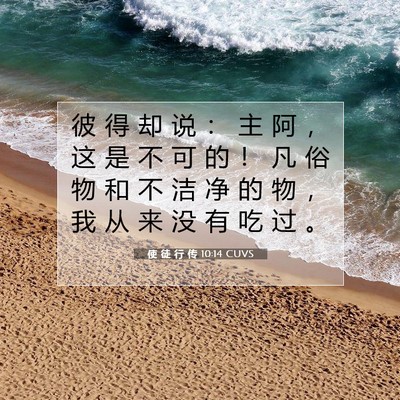 Picture 07 - 使 徒 行 传 10:14 CUVS - 彼 得 却 说 ： 主 阿 ， 这 是 不 可 - Bible Verse Picture