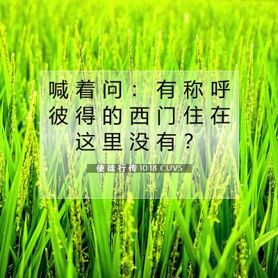 Picture 07 - 使 徒 行 传 10:18 CUVS - 喊 着 问 ： 有 称 呼 彼 得 的 西 门 - Bible Verse Picture