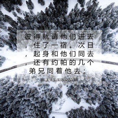 Picture 07 - 使 徒 行 传 10:23 CUVS - 彼 得 就 请 他 们 进 去 ， 住 了 一 - Bible Verse Picture