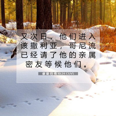 Picture 07 - 使 徒 行 传 10:24 CUVS - 又 次 日 ， 他 们 进 入 该 撒 利 亚 - Bible Verse Picture