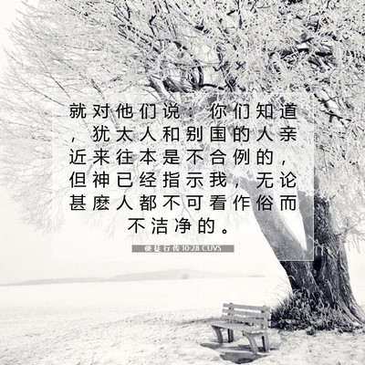 Picture 07 - 使 徒 行 传 10:28 CUVS - 就 对 他 们 说 ： 你 们 知 道 ， 犹 - Bible Verse Picture