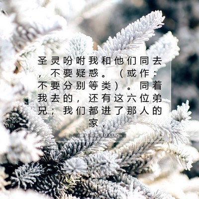 Picture 07 - 使 徒 行 传 11:12 CUVS - 圣 灵 吩 咐 我 和 他 们 同 去 ， 不 - Bible Verse Picture
