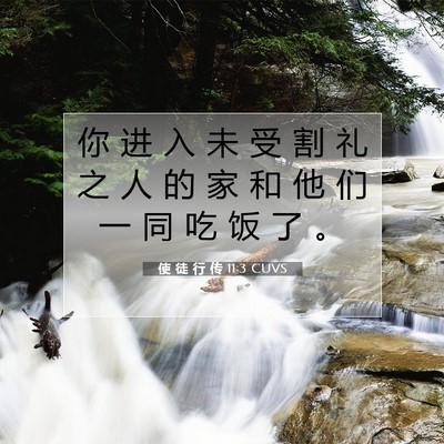 Picture 07 - 使 徒 行 传 11:3 CUVS - 你 进 入 未 受 割 礼 之 人 的 家 和 - Bible Verse Picture