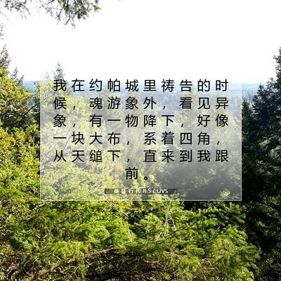 Picture 07 - 使 徒 行 传 11:5 CUVS - 我 在 约 帕 城 里 祷 告 的 时 候 ， - Bible Verse Picture