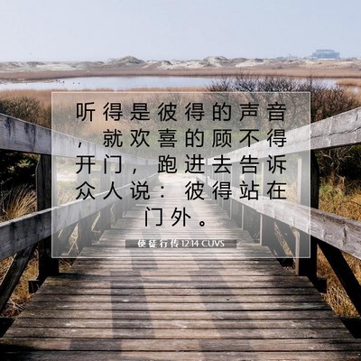 Picture 07 - 使 徒 行 传 12:14 CUVS - 听 得 是 彼 得 的 声 音 ， 就 欢 喜 - Bible Verse Picture