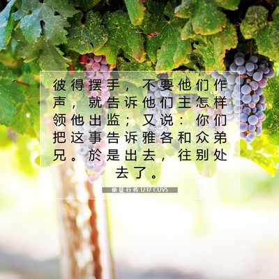 Picture 07 - 使 徒 行 传 12:17 CUVS - 彼 得 摆 手 ， 不 要 他 们 作 声 ， - Bible Verse Picture