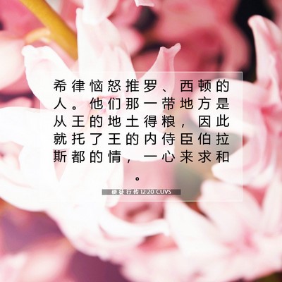 Picture 07 - 使 徒 行 传 12:20 CUVS - 希 律 恼 怒 推 罗 、 西 顿 的 人 。 - Bible Verse Picture