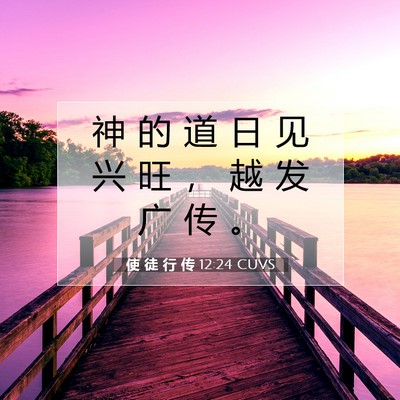 Picture 07 - 使 徒 行 传 12:24 CUVS - 神 的 道 日 见 兴 旺 ， 越 发 广 传 - Bible Verse Picture