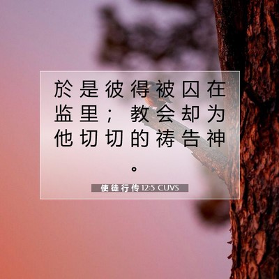 Picture 07 - 使 徒 行 传 12:5 CUVS - 於 是 彼 得 被 囚 在 监 里 ； 教 会 - Bible Verse Picture