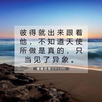 Picture 07 - 使 徒 行 传 12:9 CUVS - 彼 得 就 出 来 跟 着 他 ， 不 知 道 - Bible Verse Picture