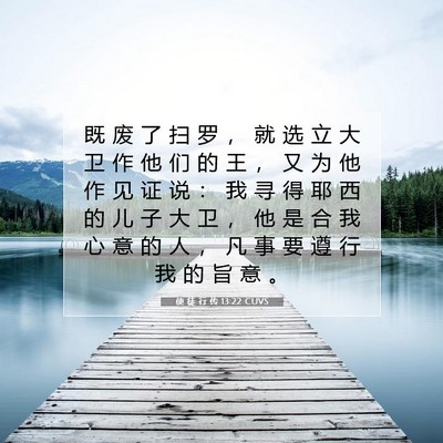 Picture 07 - 使 徒 行 传 13:22 CUVS - 既 废 了 扫 罗 ， 就 选 立 大 卫 作 - Bible Verse Picture