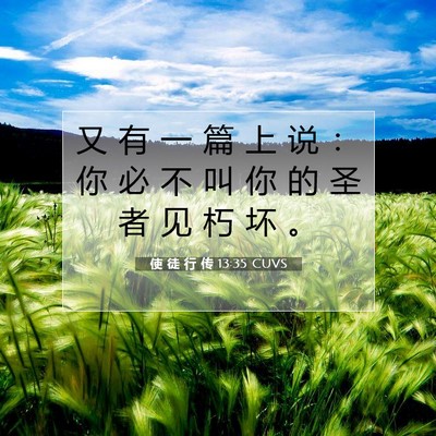Picture 07 - 使 徒 行 传 13:35 CUVS - 又 有 一 篇 上 说 ： 你 必 不 叫 你 - Bible Verse Picture