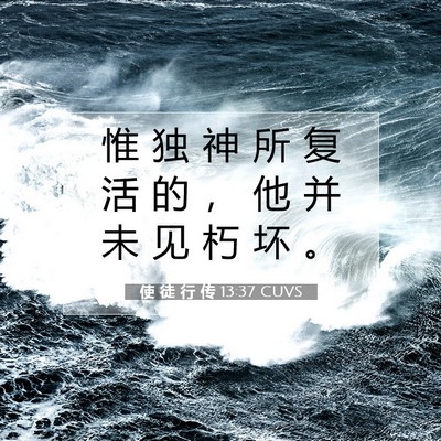 Picture 07 - 使 徒 行 传 13:37 CUVS - 惟 独 神 所 复 活 的 ， 他 并 未 见 - Bible Verse Picture