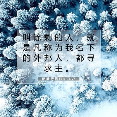 Picture 07 - 使 徒 行 传 15:17 CUVS - 叫 馀 剩 的 人 ， 就 是 凡 称 为 我 - Bible Verse Picture