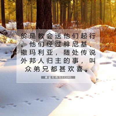 Picture 07 - 使 徒 行 传 15:3 CUVS - 於 是 教 会 送 他 们 起 行 。 他 们 - Bible Verse Picture