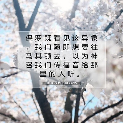 Picture 07 - 使 徒 行 传 16:10 CUVS - 保 罗 既 看 见 这 异 象 ， 我 们 随 - Bible Verse Picture
