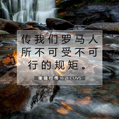 Picture 07 - 使 徒 行 传 16:21 CUVS - 传 我 们 罗 马 人 所 不 可 受 不 可 - Bible Verse Picture
