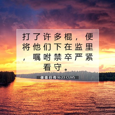 Picture 07 - 使 徒 行 传 16:23 CUVS - 打 了 许 多 棍 ， 便 将 他 们 下 在 - Bible Verse Picture