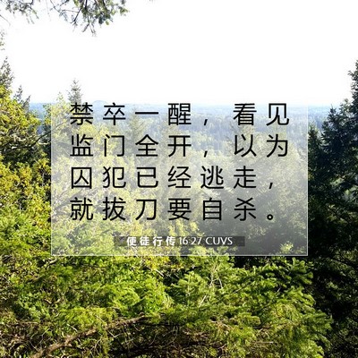 Picture 07 - 使 徒 行 传 16:27 CUVS - 禁 卒 一 醒 ， 看 见 监 门 全 开 ， - Bible Verse Picture