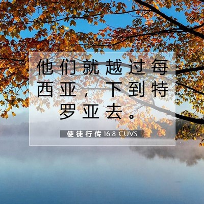 Picture 07 - 使 徒 行 传 16:8 CUVS - 他 们 就 越 过 每 西 亚 ， 下 到 特 - Bible Verse Picture