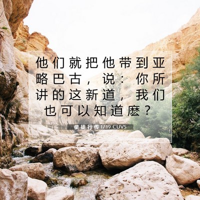 Picture 07 - 使 徒 行 传 17:19 CUVS - 他 们 就 把 他 带 到 亚 略 巴 古 ， - Bible Verse Picture
