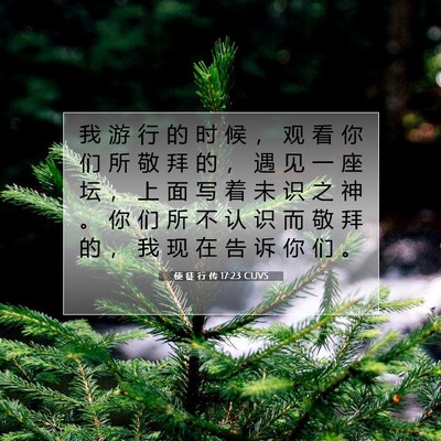 Picture 07 - 使 徒 行 传 17:23 CUVS - 我 游 行 的 时 候 ， 观 看 你 们 所 - Bible Verse Picture
