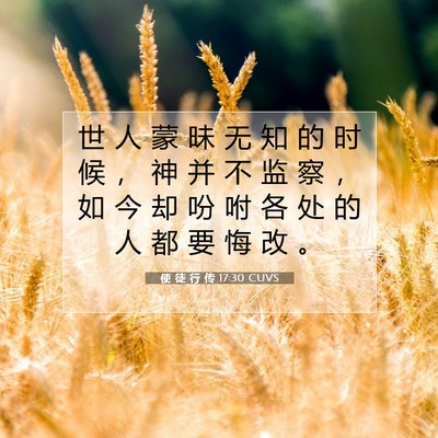 Picture 07 - 使 徒 行 传 17:30 CUVS - 世 人 蒙 昧 无 知 的 时 候 ， 神 并 - Bible Verse Picture