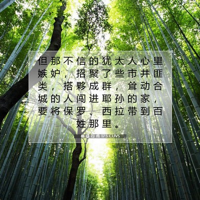 Picture 07 - 使 徒 行 传 17:5 CUVS - 但 那 不 信 的 犹 太 人 心 里 嫉 妒 - Bible Verse Picture