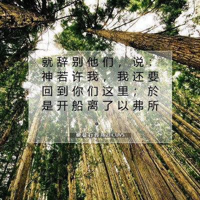 Picture 07 - 使 徒 行 传 18:21 CUVS - 就 辞 别 他 们 ， 说 ： 神 若 许 我 - Bible Verse Picture