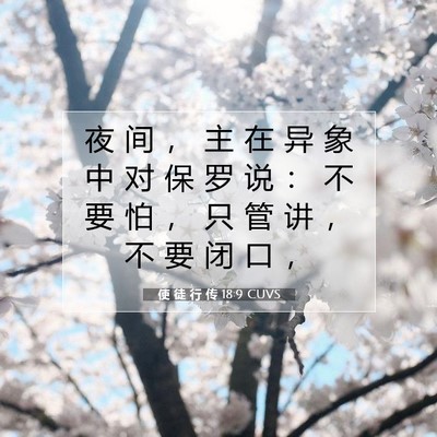 Picture 07 - 使 徒 行 传 18:9 CUVS - 夜 间 ， 主 在 异 象 中 对 保 罗 说 - Bible Verse Picture