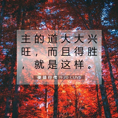 Picture 07 - 使 徒 行 传 19:20 CUVS - 主 的 道 大 大 兴 旺 ， 而 且 得 胜 - Bible Verse Picture