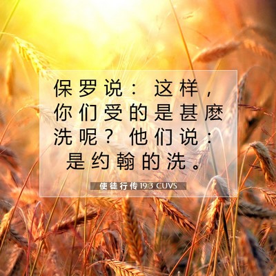 Picture 07 - 使 徒 行 传 19:3 CUVS - 保 罗 说 ： 这 样 ， 你 们 受 的 是 - Bible Verse Picture
